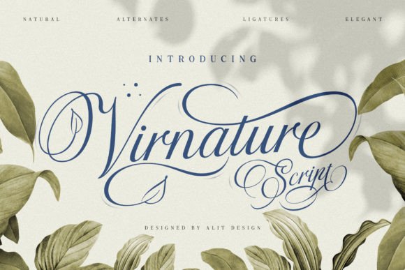 Virnature: Elegant Script Font with Natural Charm